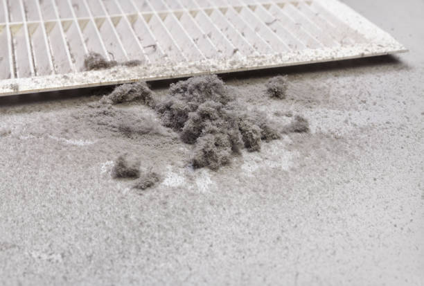Best Professional Duct Cleaning Services  in Albany, IN