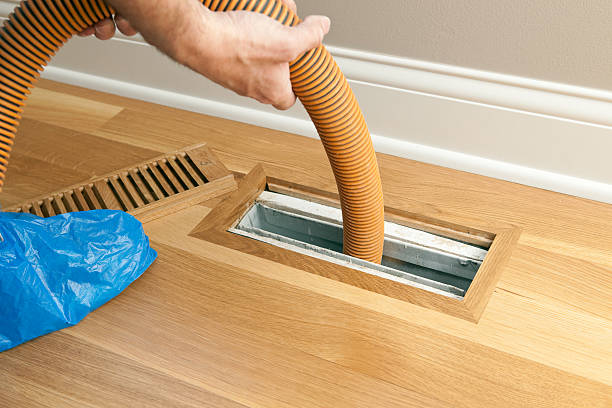 Best Local Air Duct Cleaning Services  in Albany, IN
